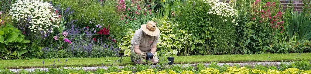 Steuerberater für Galabau, Gartenbau, Landschaftsbau